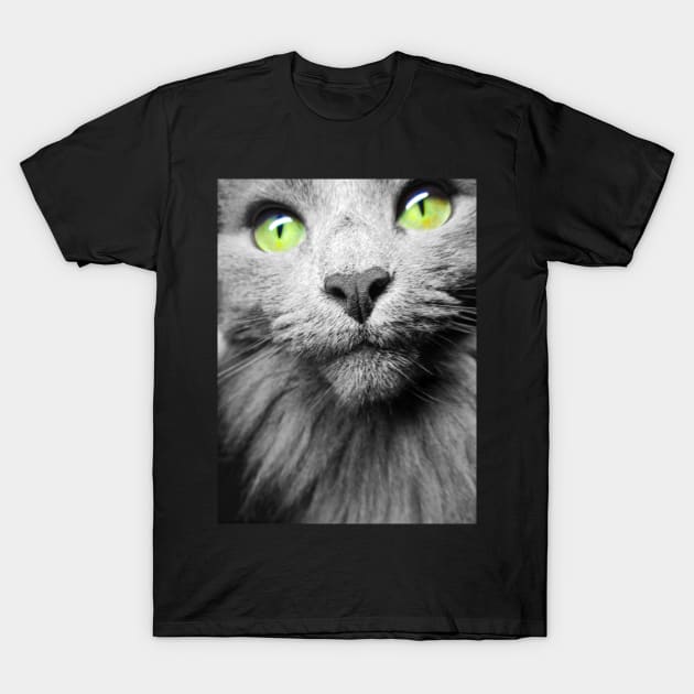 Amazing picture of gray cat with green eyes T-Shirt by PandLCreations